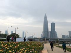 -深圳人才公园
