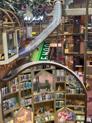 -卡通尼·Safari非洲探索乐园·生日会(金桥国际商业广场店)