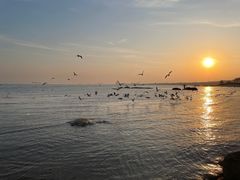 -老虎石海上公园