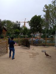 -萌宠亲子动物乐园(槐房万达店)