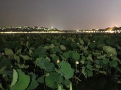 -西湖天地
