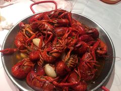 -杨氏青龙虾·羊蝎子(托乐嘉店)