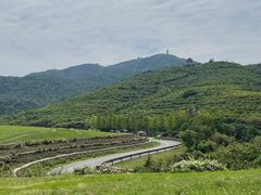 -冶父山国家森林公园