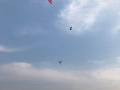 -小南海站