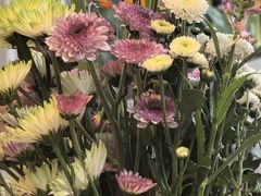 -吃货私房菜(丽江束河古镇店)