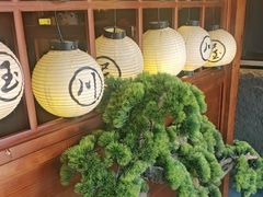 -玉川屋·深夜食堂居酒屋(柳巷店)