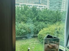 -有璟阁港式餐厅(金融街购物中心店)