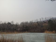 -国家植物园南园