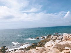 -广东惠东海龟国家级自然保护区