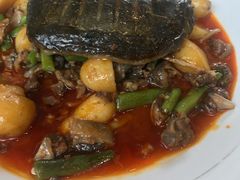-洪湖家庭农场·团建·露营·会议