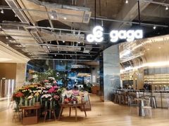 -gaga(深圳南山益田假日广场店)