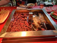 -二荆条·蜀鲜汇城市森林火锅