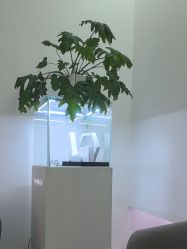 -Dr.U博士医疗美容医院