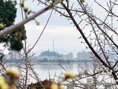 -江心屿景区