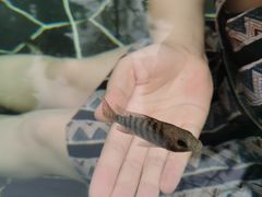 -海兰云天度假区温泉