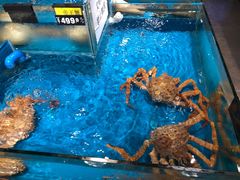 帝王蟹-谊品生鲜折扣店(伟清中环店)