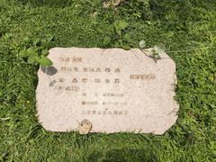 -三亚南山文化旅游区