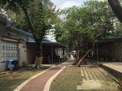 -十九路军淞沪抗日阵亡将士陵园