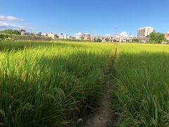 -都斛海鲜街