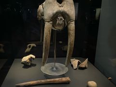 -丹麦国家博物馆