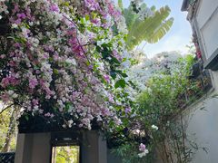 -深圳国际园林花卉博览园