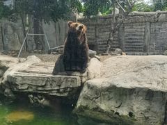 -灵玲国际马戏城