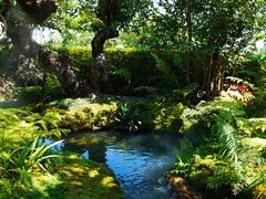 -Chom Cafe and Restaurant