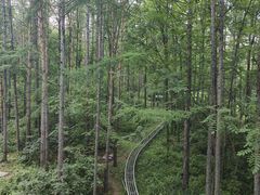 -长春净月潭风景名胜区