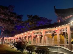-飞来湖湿地公园