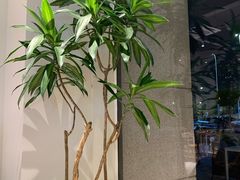 -小满Grainkitchen(滨江商业广场店)