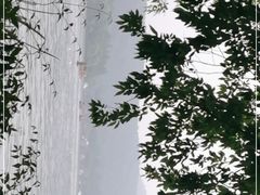 -西湖外事游船(花港观鱼码头)