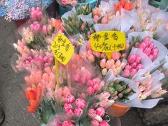 -循礼门鲜花花市(武汉循礼门店)