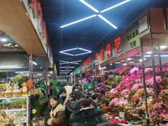 -大自然花鸟鱼虫市场