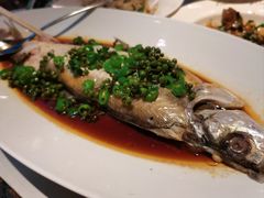 -桂满陇·海市蜃楼·黑金(国金店)