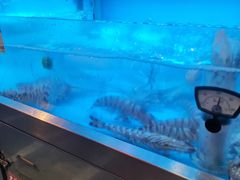 -協成海鮮火鍋(老店)