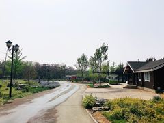 -永定河休闲森林公园