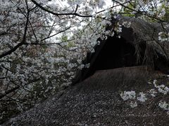 -中国茶叶博物馆(双峰馆区)