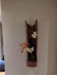 -香秀空间科技抗衰·美容中心