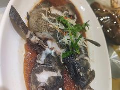 清蒸青斑鱼-双井轩(双井店)