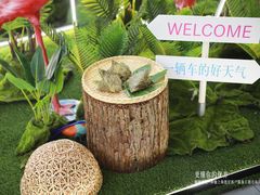 -上海德星奔驰(江杨南路店)