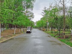 -长白岛森林公园