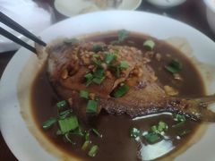 -大树下饭店(春晓镇慈岙社区卫生服务站南)