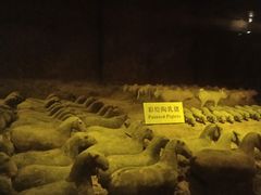 -汉景帝阳陵博物院