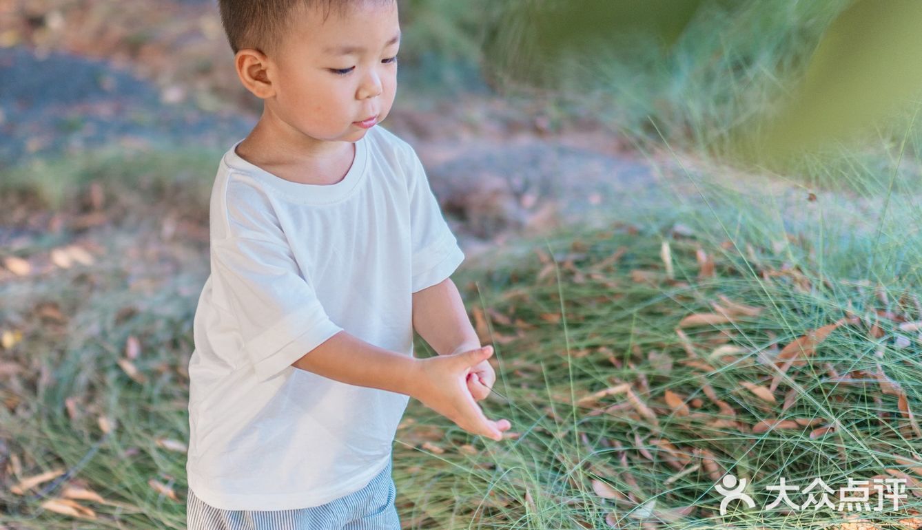 【深圳】初秋出游，千万不要错过红花山的超美粉黛