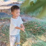 【深圳】初秋出游，千万不要错过红花山的超美粉黛