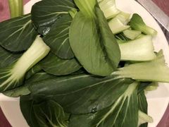 蔬菜-鑫龙火锅城(青岛分店)