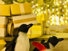 -LES ELITES 英集荟(南京西路店)