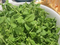 -烹然四季椰子鸡火锅(姚家园万象汇店)