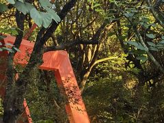 -燕晗山郊野公园