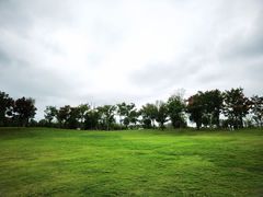 -盘龙城国家考古遗址公园